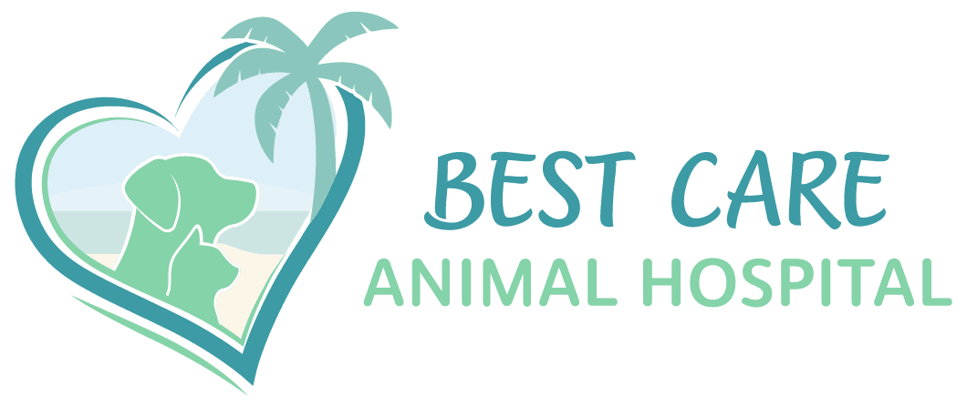 Best Care Animal Hospital Logo