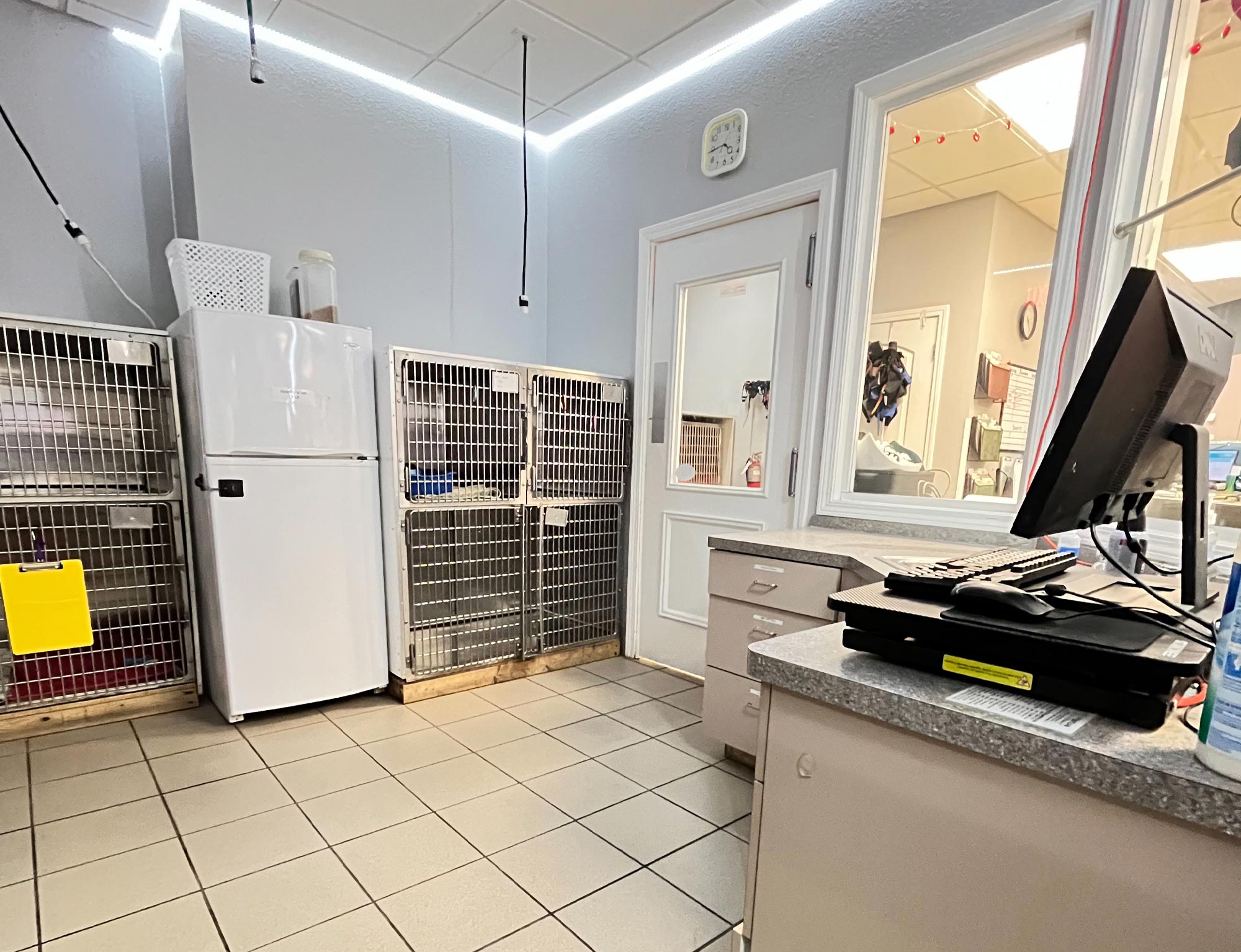 Veterinary Anesthesia & Monitoring in New Port Richey, FL Best Care