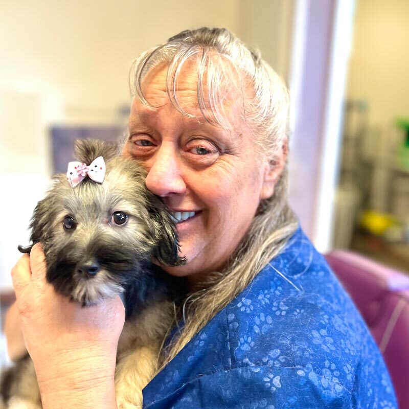 Staff Member Posing With Groomed Dog