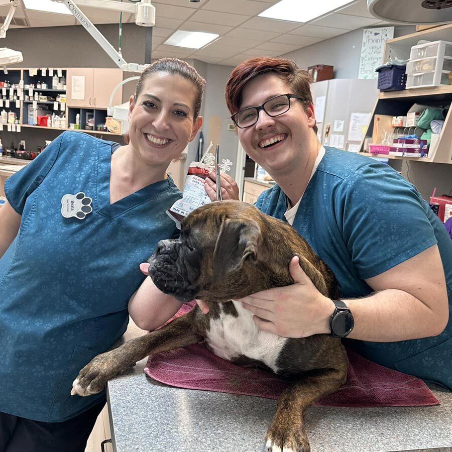 Staff Members With Dog On Exam Table